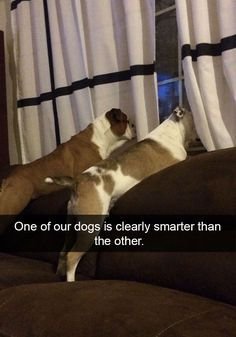 9417407176c4863c671634997bd5ff7d.jpg