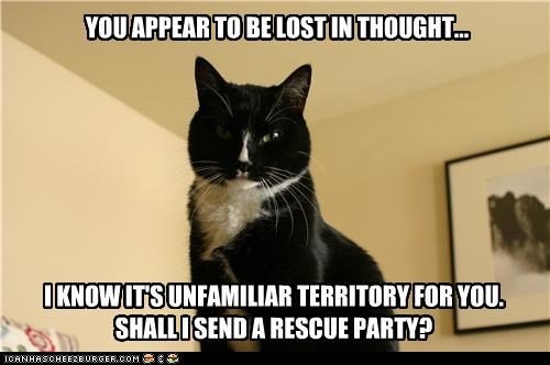you-appear-to-be-lost-in-thought.jpg