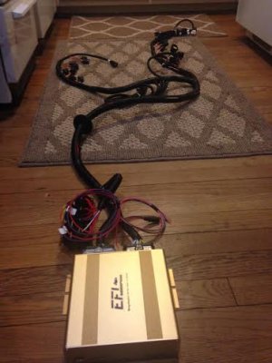 EFI1.jpg EFI1.jpg