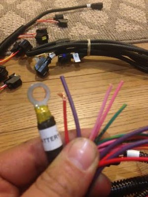 EFI3.jpg EFI3.jpg