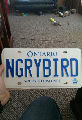 IMAG1228_1.jpg IMAG1228_1.jpg