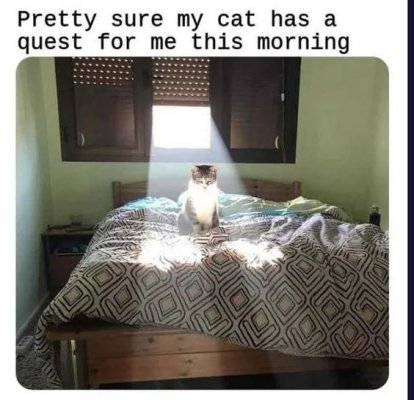 09b49e6d95ba2d6870bd4d882ddd50f2.jpg
