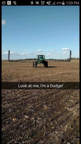 dodge.jpg