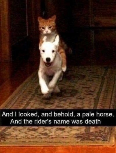 15b0ad04a5f097fff7cff233fc5884cf.jpg