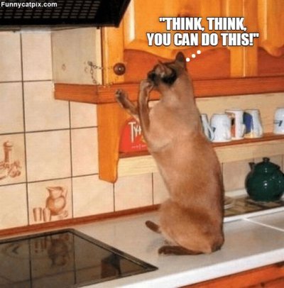 0d1c8738d70867551d627e80b4d8d398.jpg