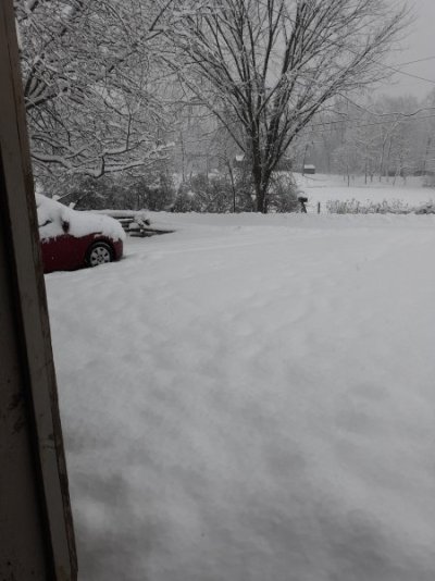 20230123_080256.jpg