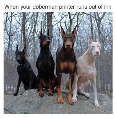 21870c25ffdee14afa74b8b647766ff7.jpg