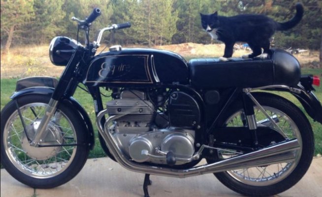 Norton-Esquire-Left-Side.jpg