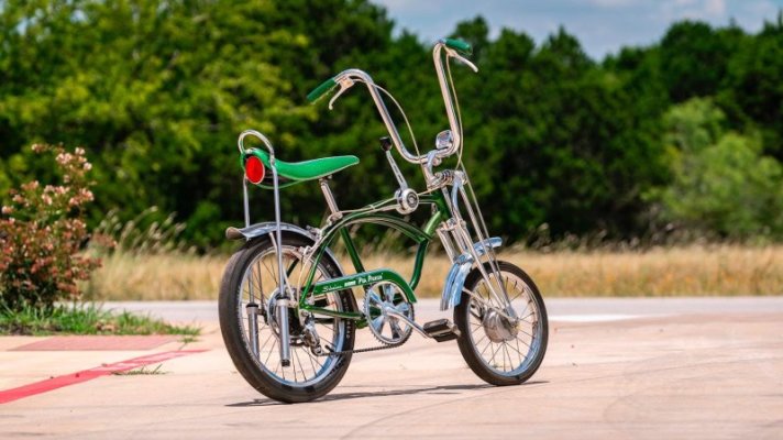 Schwinn Pea Picker 2.jpg