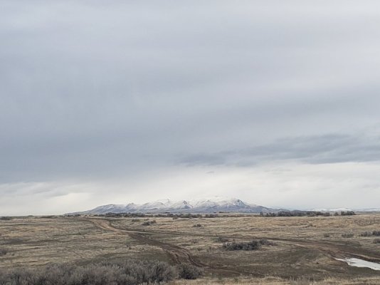 20230205_113451.jpg