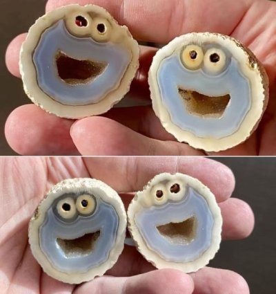 Formation Inside Rock That Looks Exactly Like Cookie Monster.jpg