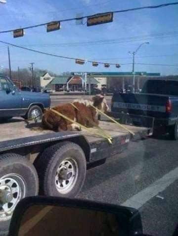 FB_IMG_1675947534991.jpg