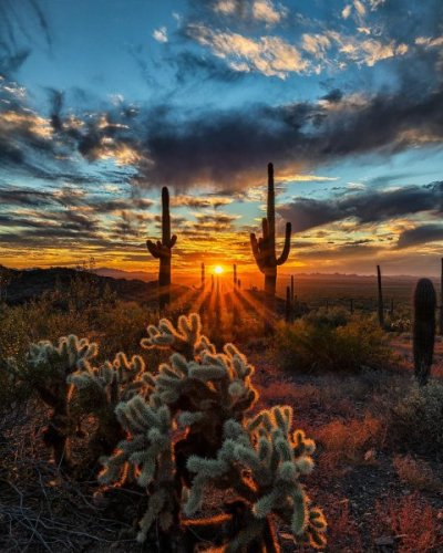 Arizona.jpg
