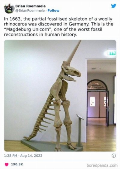 0b66b45786306586fa9dbea2a739598c.jpg