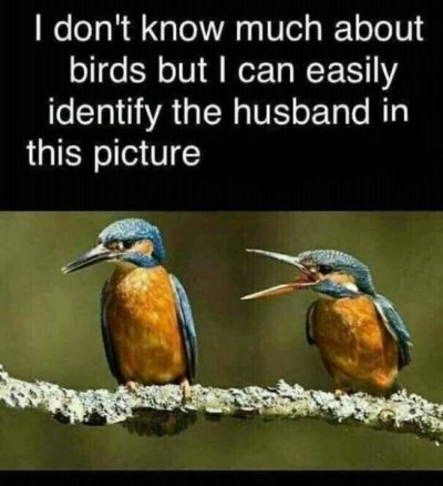 fa40f6dff98ce47a6bfe5124dc815524.jpg