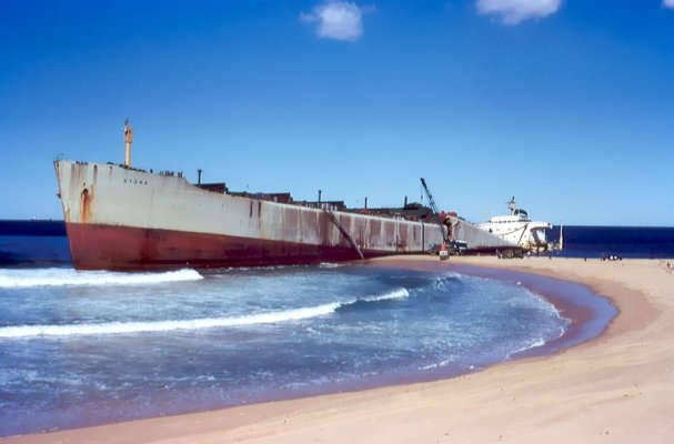 800px-MV_Sygna_1974.jpg