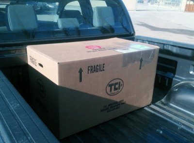 Tranny.jpg Tranny.jpg