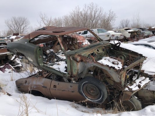 IMG_3746.jpg IMG_3746.jpg