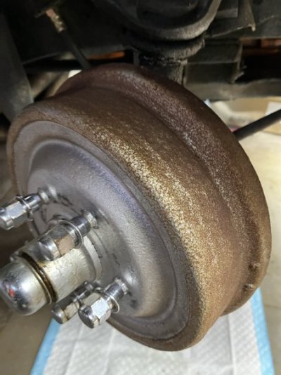 39E59065-CA89-46A1-B139-311700DF8915.jpeg 39E59065-CA89-46A1-B139-311700DF8915.jpeg