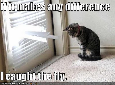 1-caught-the-fly-icanhaz.jpg