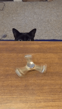 765ab671fe57c4b5321f83d96f1ad470.gif