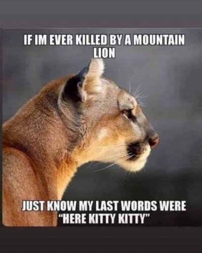 c1302bd80ab7fb5764fdbc6d7c9b07af.jpg