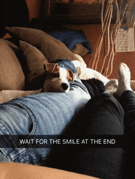 0b0a27958df8808255adff0e79006e0a62612c6a.gif