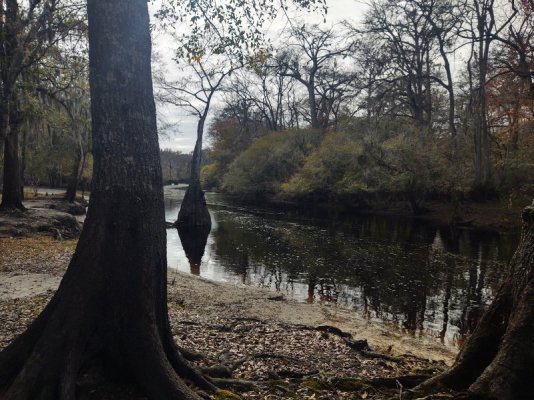 IMG_20221126_141118894_HDR.jpg