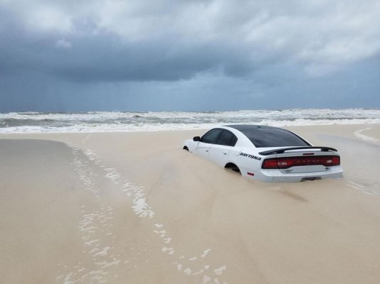 Funny-Beach-Photos-41.jpg