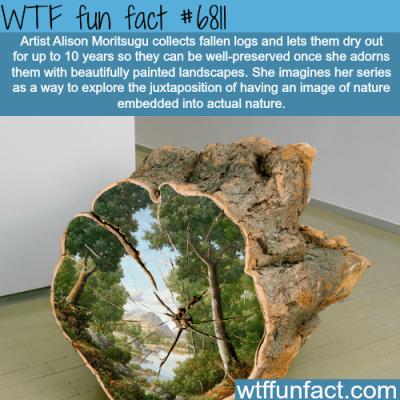fun-facts-art-by-alison-moritsugu-wtf-fun-fact.png