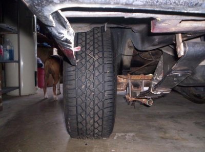 dart31.jpg dart31.jpg