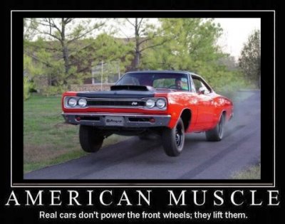 realcars.jpg