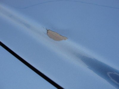 DSC03286.jpg DSC03286.jpg