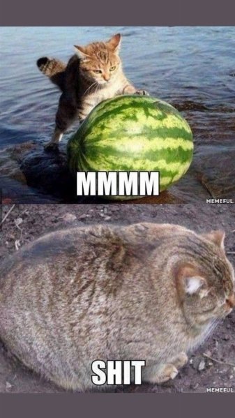 2dbbaab4b48e24a480c052a487ae1c62.jpg