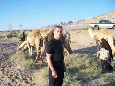 Camels2.png