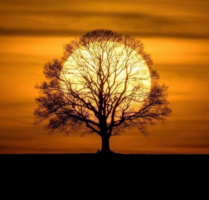 8fa7899e35774d629df337d91eb219e0ebddab35cdb44d4df0923a848e8756a0.png