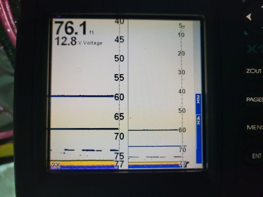 20230314_125449.jpg