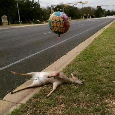 d2031b229b116faa5d2f55f8c1cb8dd3f4eea31a467829e38a9446d644403008.jpg