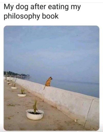 328537438_137268649258179_5567450982985282060_n.jpg