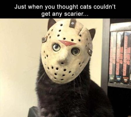 938abdcec7741b936898eb249cf76c37.jpg