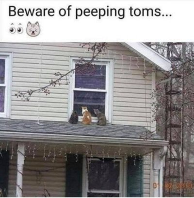 031bc561ee8bd1f9ea43d76b54c2e1e2.jpg