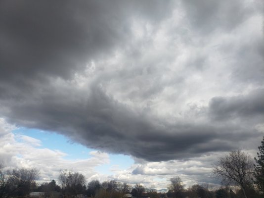 20230321_171853.jpg