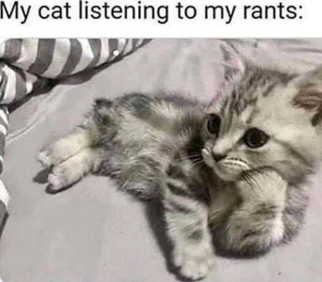 Cat rant.jpg