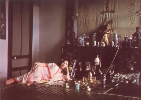 utochrome-lumiere-auguste-louis-593e82a2d60ba__880.jpg