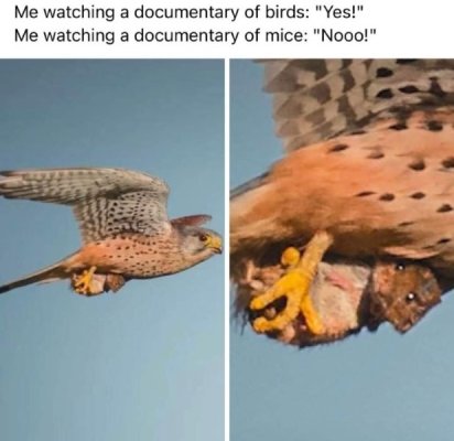 26993.jpg