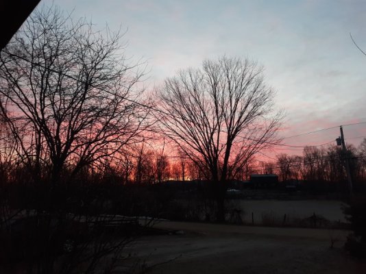 20230325_063535.jpg