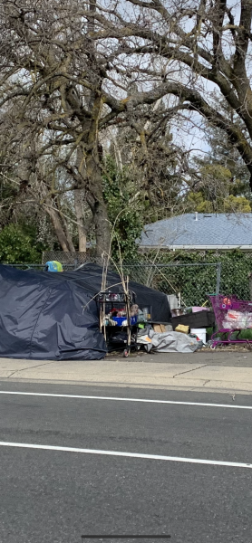 7D6B3305-BBE1-4A1D-B950-39252A51DB72.png 7D6B3305-BBE1-4A1D-B950-39252A51DB72.png