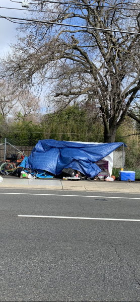 2508B77C-7744-457A-A508-572CDB917964.png 2508B77C-7744-457A-A508-572CDB917964.png