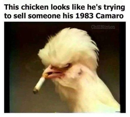 FB_IMG_1679264262829.jpg