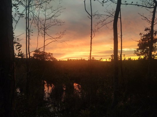 IMG_20230329_194943368_HDR.jpg